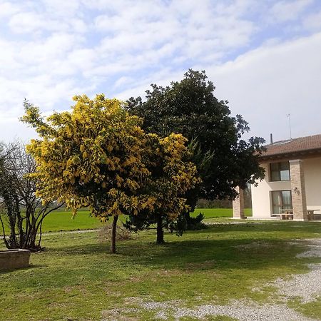 Agriturismo Trabucco Casale sul Sile Luaran gambar