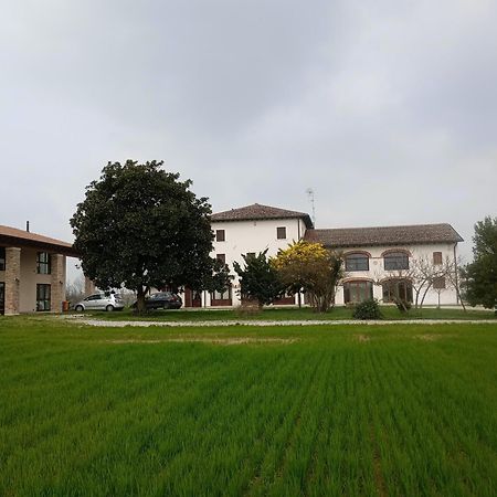 Agriturismo Trabucco Casale sul Sile Luaran gambar