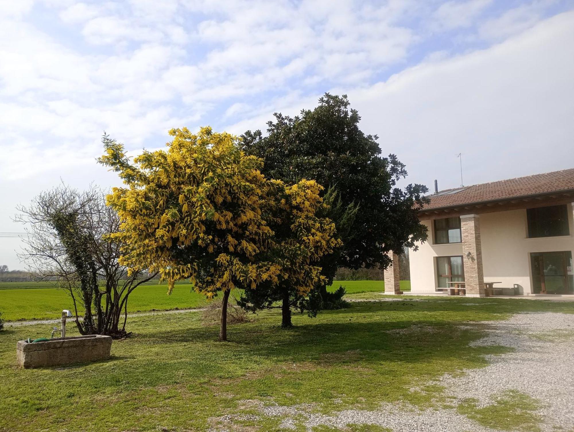 Agriturismo Trabucco Casale sul Sile Luaran gambar