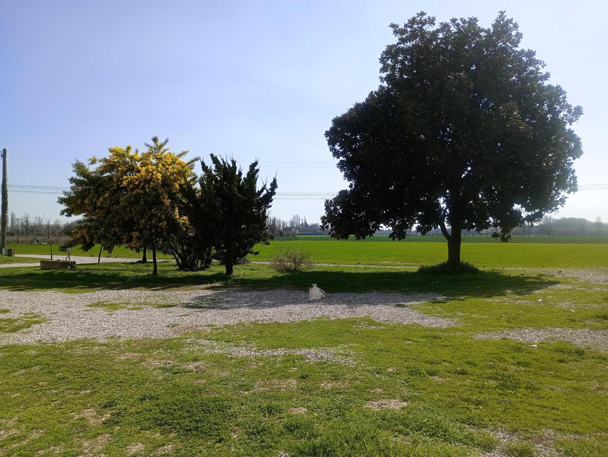Agriturismo Trabucco Casale sul Sile Luaran gambar