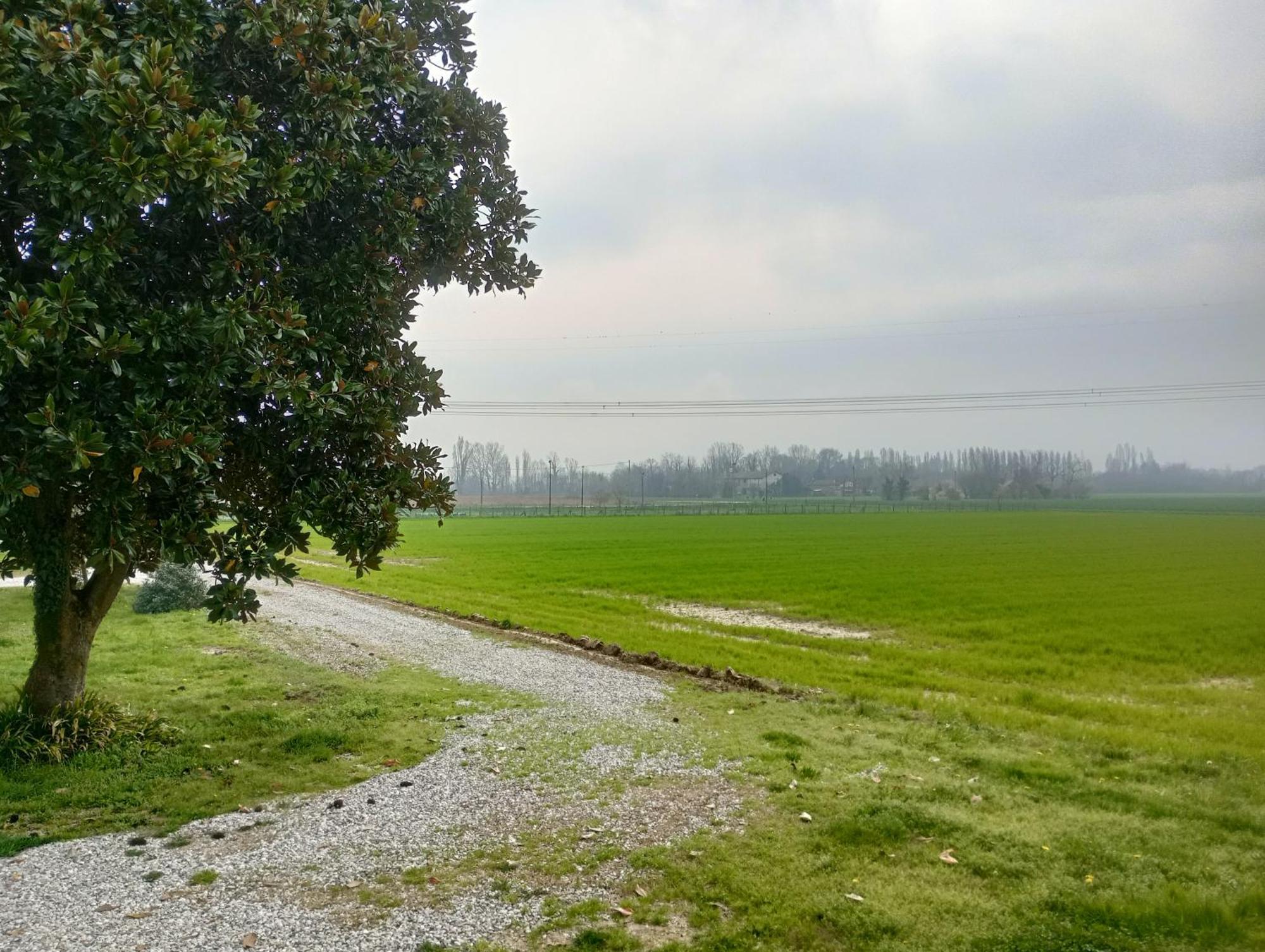 Agriturismo Trabucco Casale sul Sile Luaran gambar